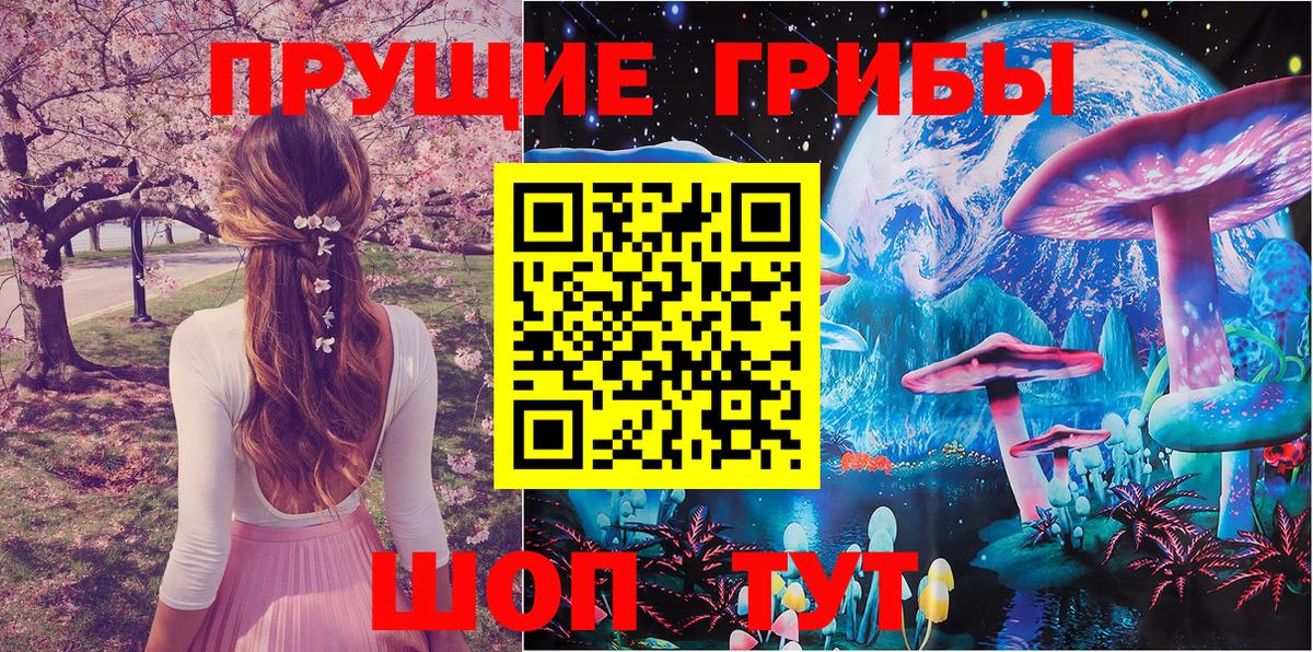 дарнет шоп  Галлюциногенные грибы мухоморы  Вход с VPN  Майкоп 